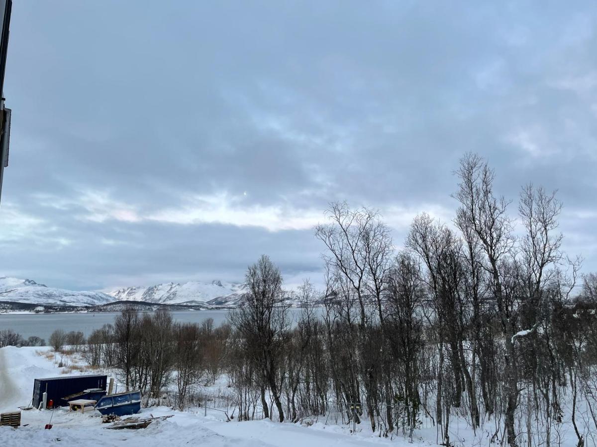 New Modern Apartment - Tromso West Екстериор снимка
